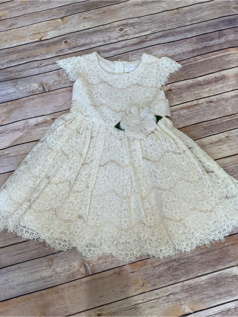 Rare Editions Ivory Lace Party Dress with Floral Waist